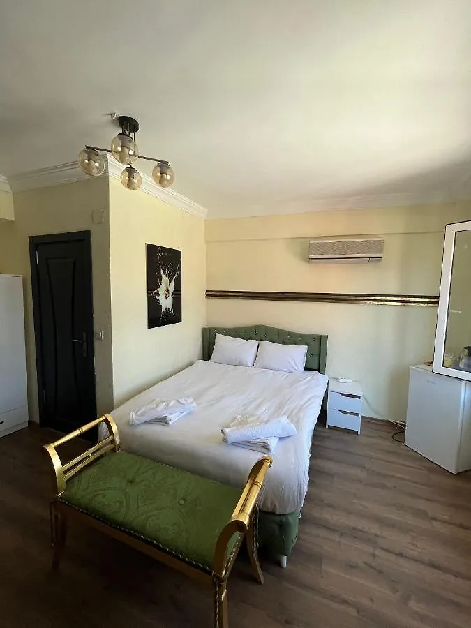 Demirtas Palace Apartment Istanbul
