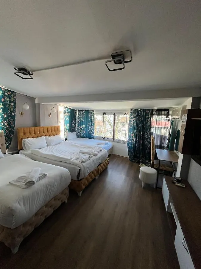 Demirtas Palace Apartment Istanbul
