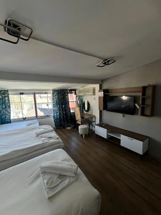 Demirtas Palace Apartment Istanbul