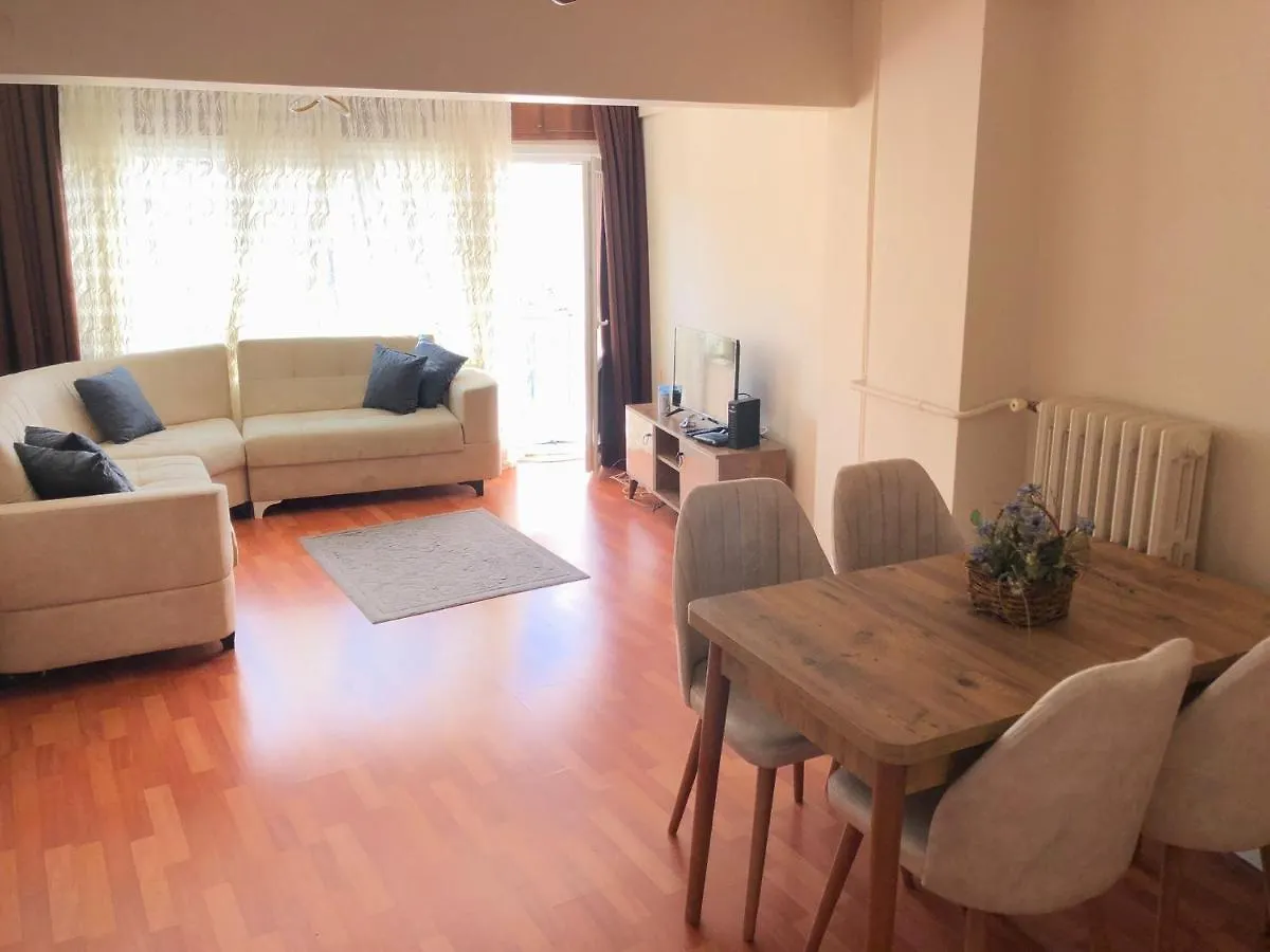 Demirtas Palace Apartment Istanbul Turkey