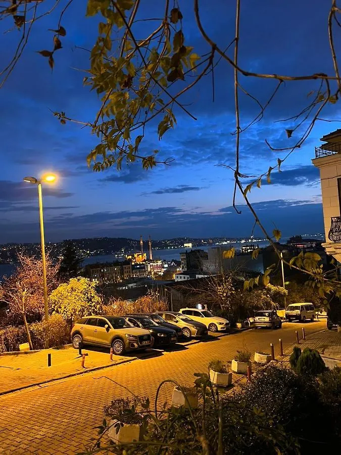 Demirtas Palace Apartment Istanbul